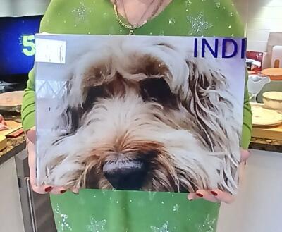 In situ image by Pauline powell from Manchester